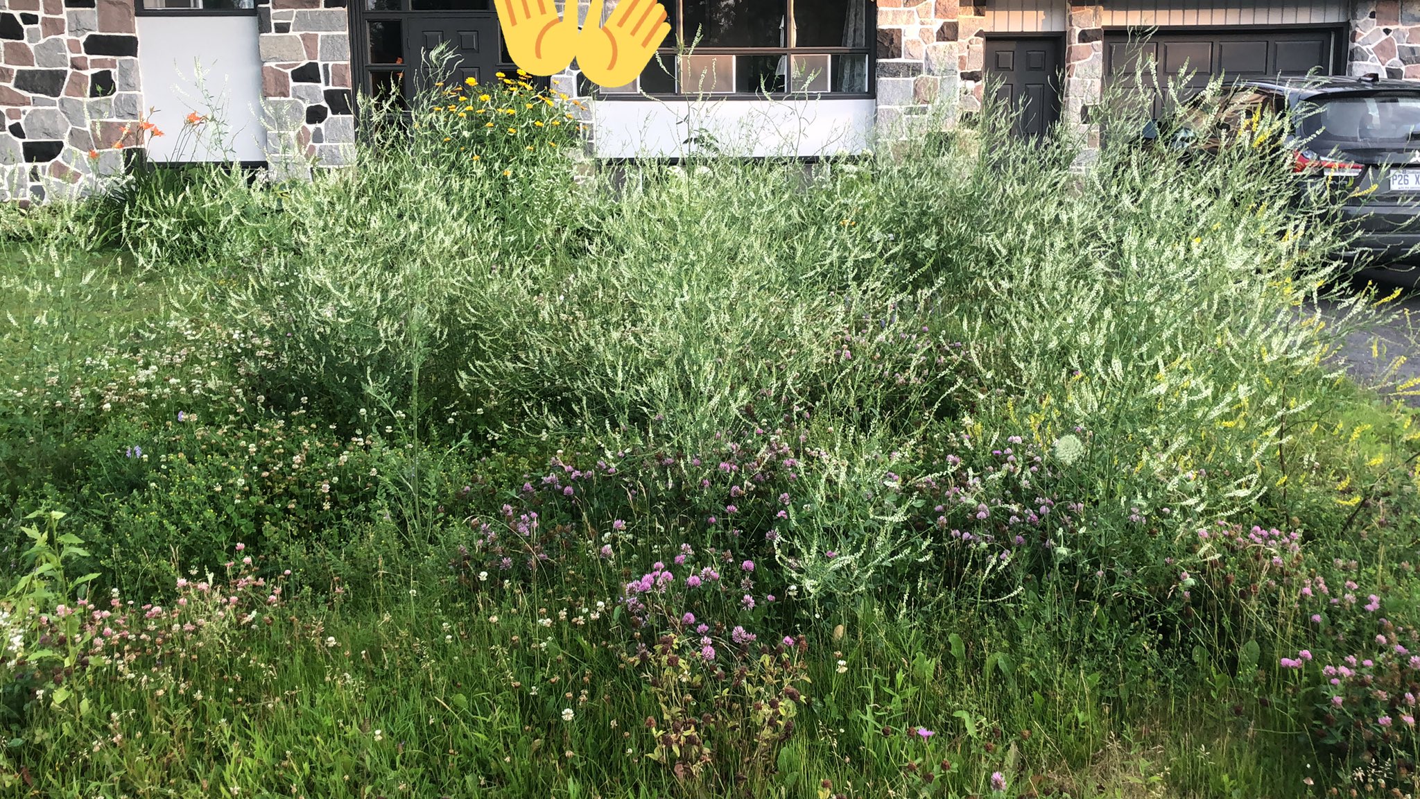 In defence of the lawn ('or, is a lawn right for me?')