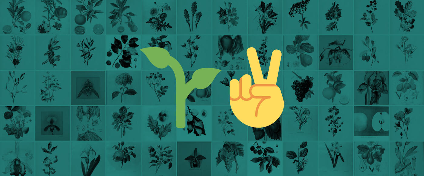 We're looking for a marketing co-founder